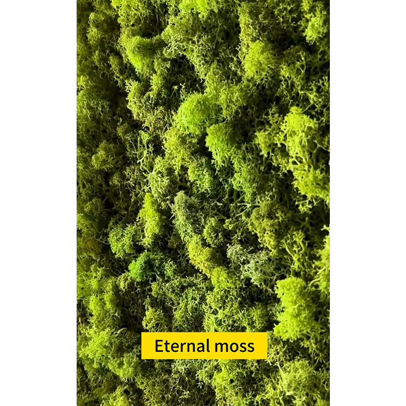 Eternal moss