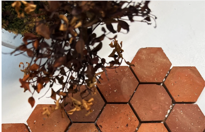 Red Brick-Hexagon Mosaic